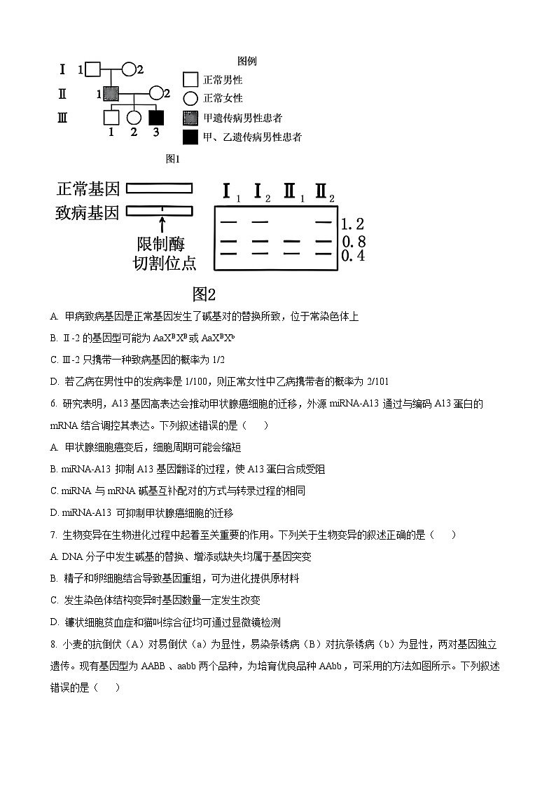 山西吕梁市2025-2026学年高三第一学期期末调研测试生物试卷（试卷+解析）第3页