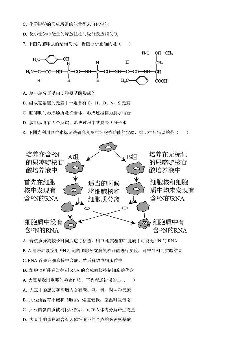 广东省大湾区普通高中2025—2026学年第一学期期末综合练习高一生物学（试卷+解析）第3页