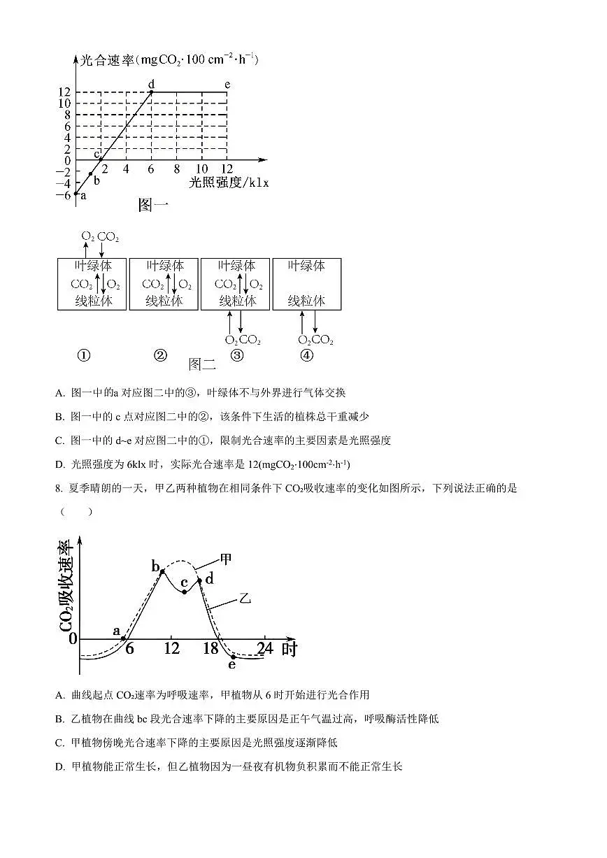 河北石家庄精英中学2025-2026学年第一学期期末考试高一生物试题（试卷+解析）第3页