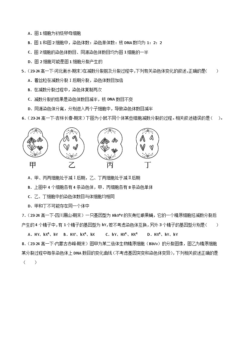 专题02 减数分裂和受精作用（2019人教版）（原卷版）第2页