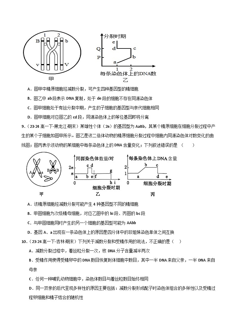 专题02 减数分裂和受精作用（2019人教版）（原卷版）第3页