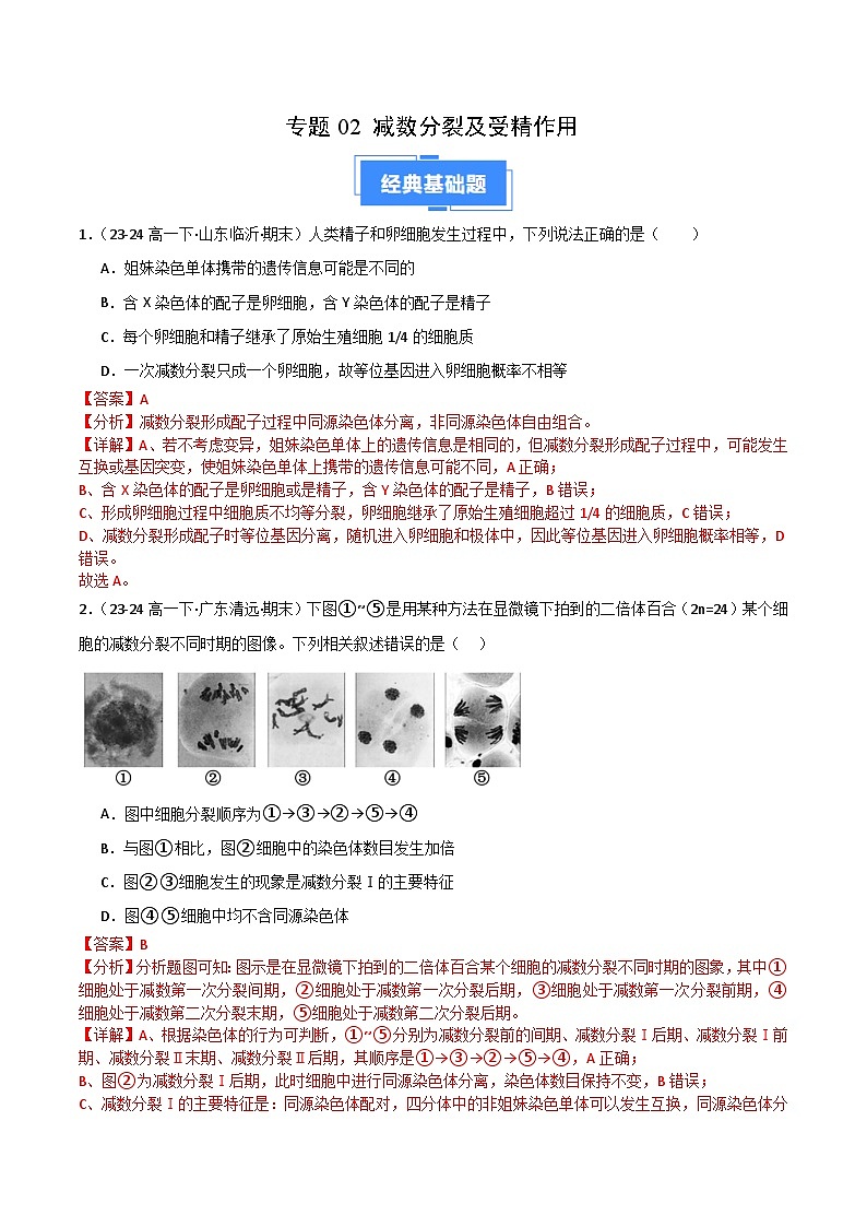 专题02 减数分裂和受精作用（2019人教版）（解析版）第1页