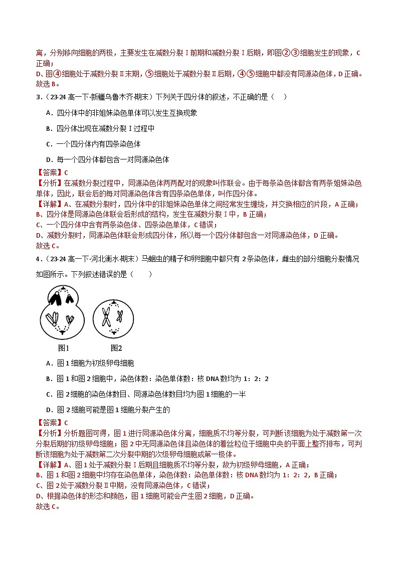专题02 减数分裂和受精作用（2019人教版）（解析版）第2页