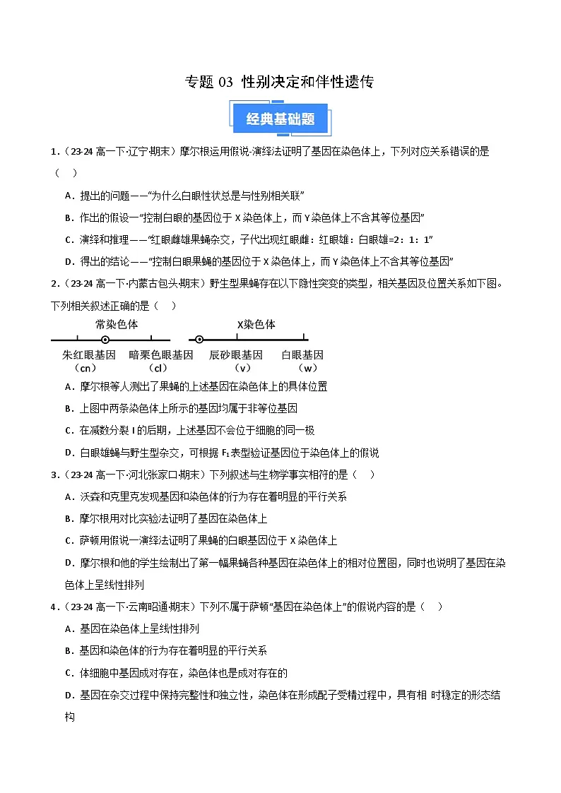 专题03 性别决定和伴性遗传（2019人教版）（原卷版）第1页