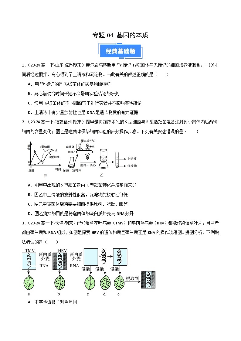 专题04 基因的本质（2019人教版）（原卷版）第1页