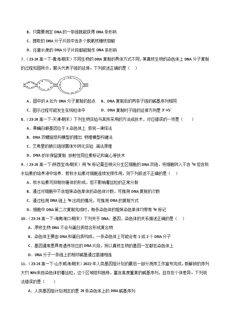 专题04 基因的本质（2019人教版）（原卷版）第3页