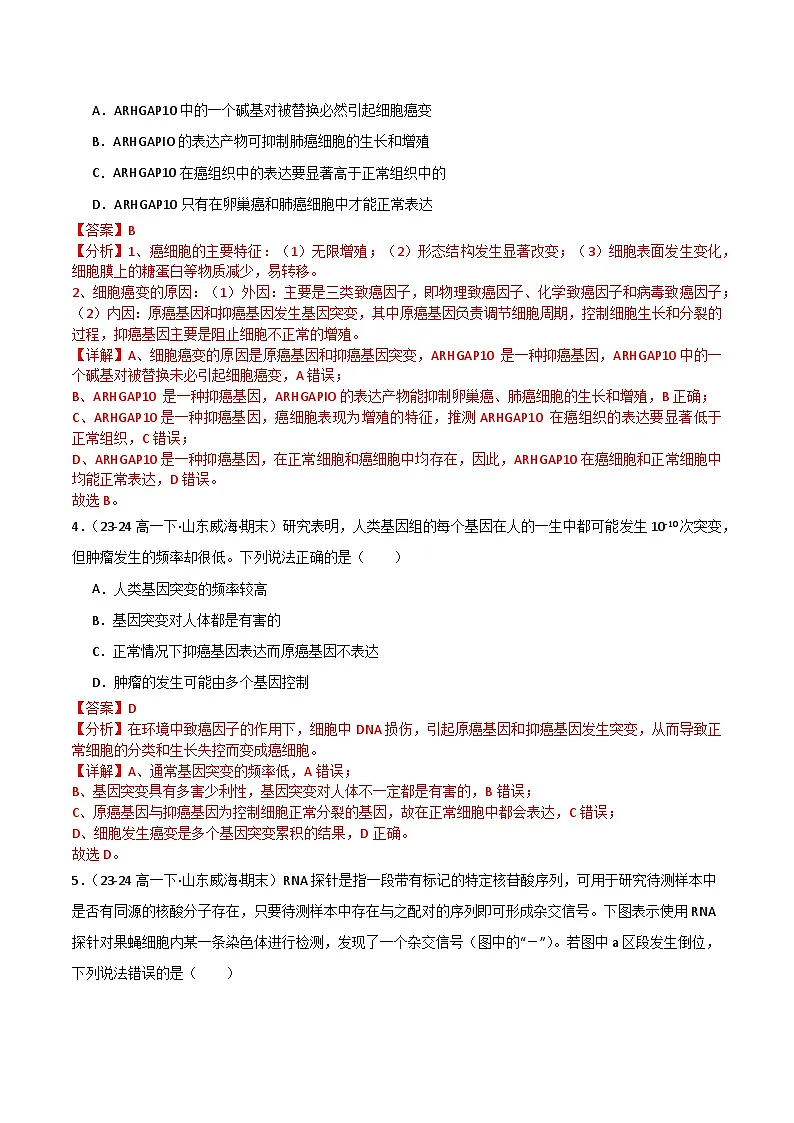 专题06 基因突变及其他变异（2019人教版）（解析版）第2页