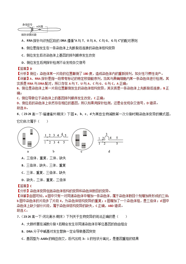 专题06 基因突变及其他变异（2019人教版）（解析版）第3页