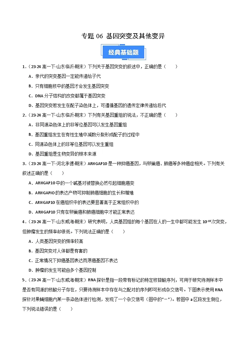 专题06 基因突变及其他变异（2019人教版）（原卷版）第1页