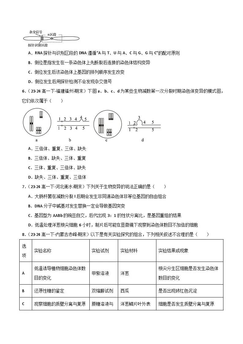 专题06 基因突变及其他变异（2019人教版）（原卷版）第2页