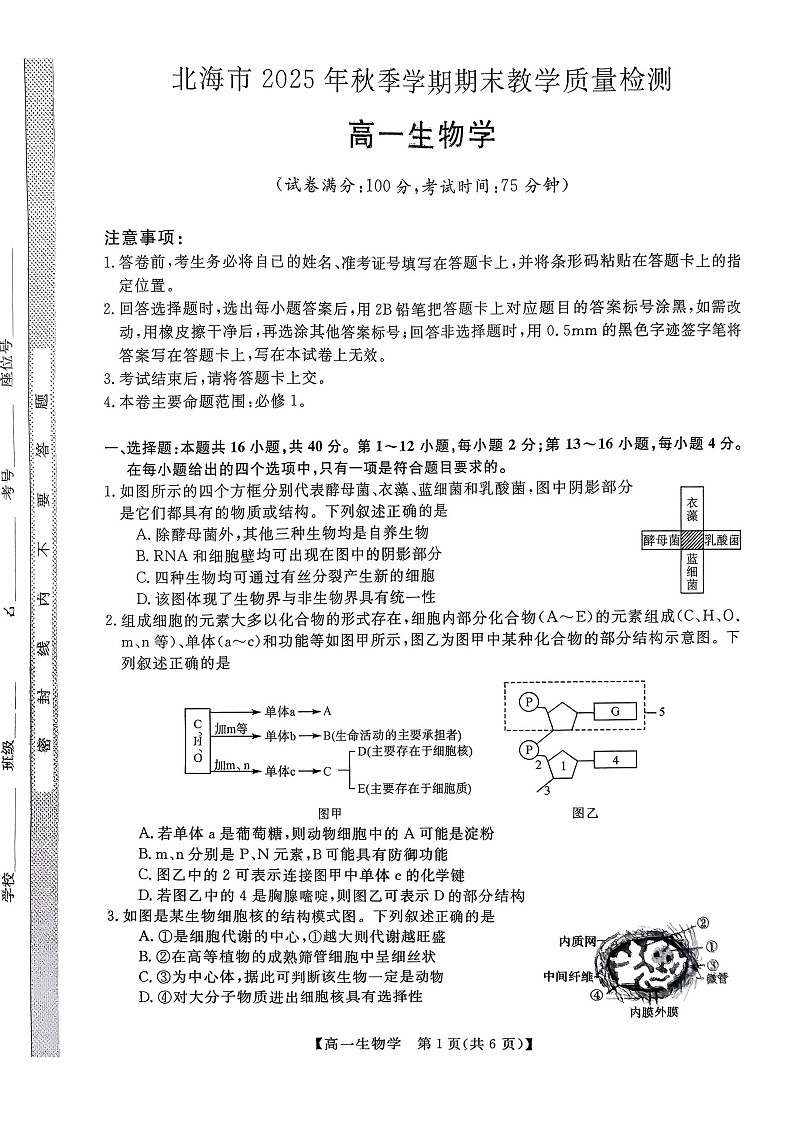 广西壮族自治区北海市2025-2026学年高一上学期期末教学质量检测生物试卷第1页