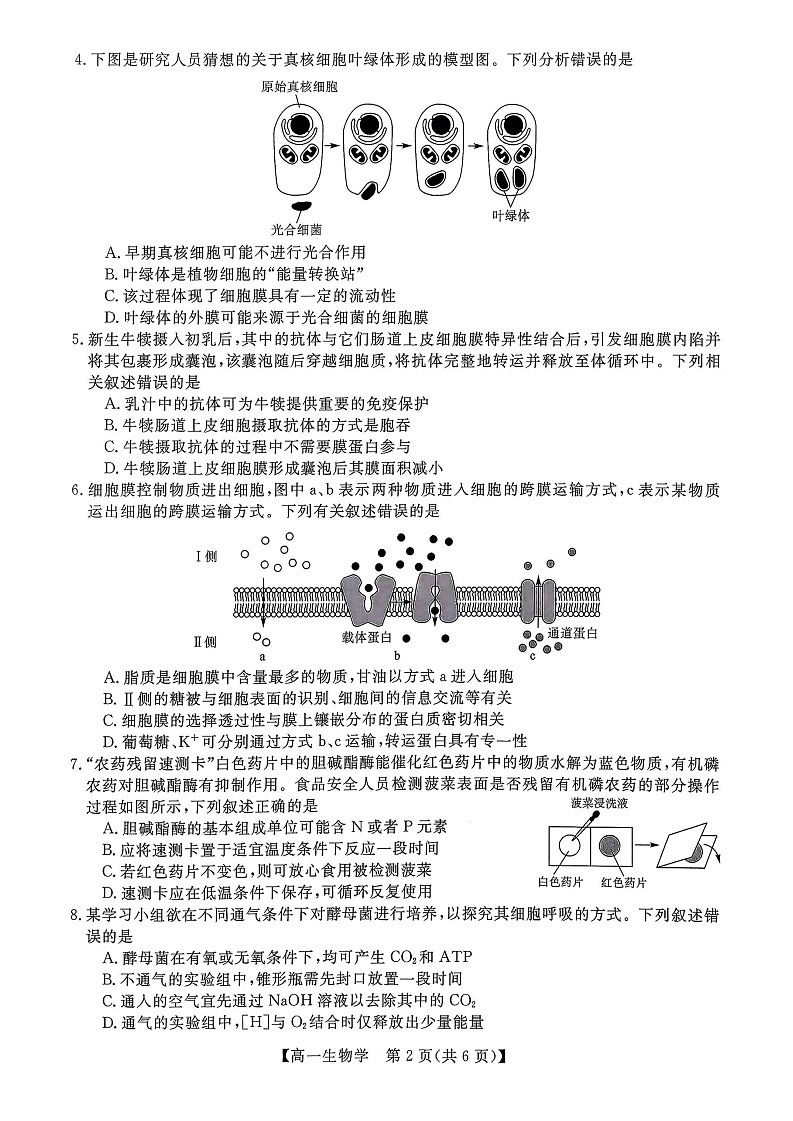广西壮族自治区北海市2025-2026学年高一上学期期末教学质量检测生物试卷第2页
