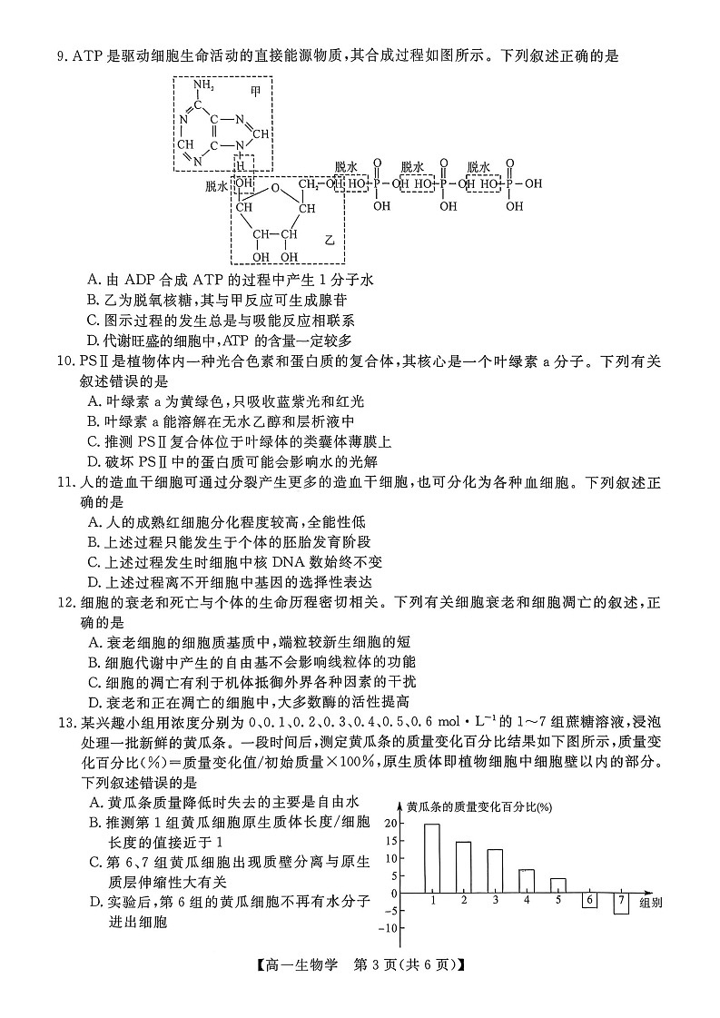 广西壮族自治区北海市2025-2026学年高一上学期期末教学质量检测生物试卷第3页
