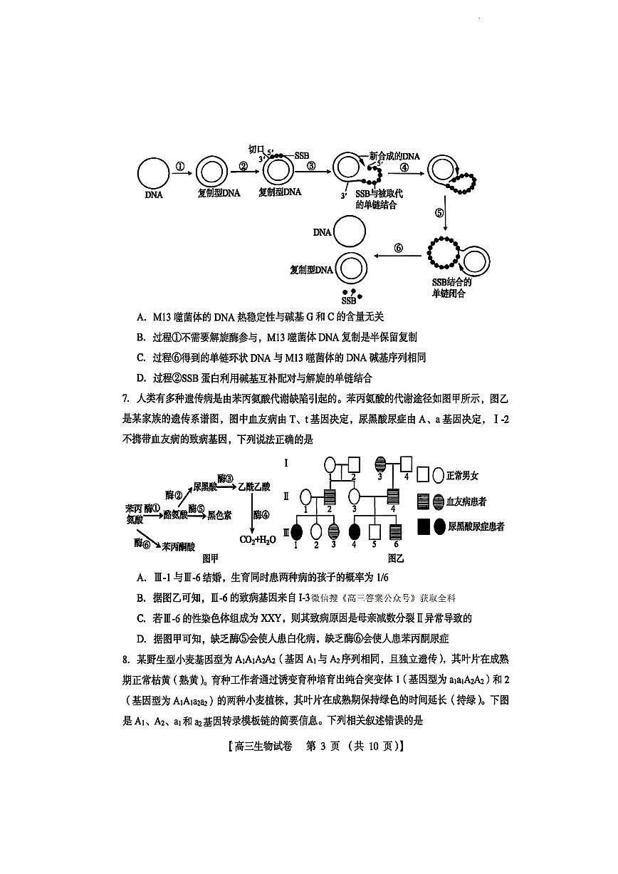 生物第3页