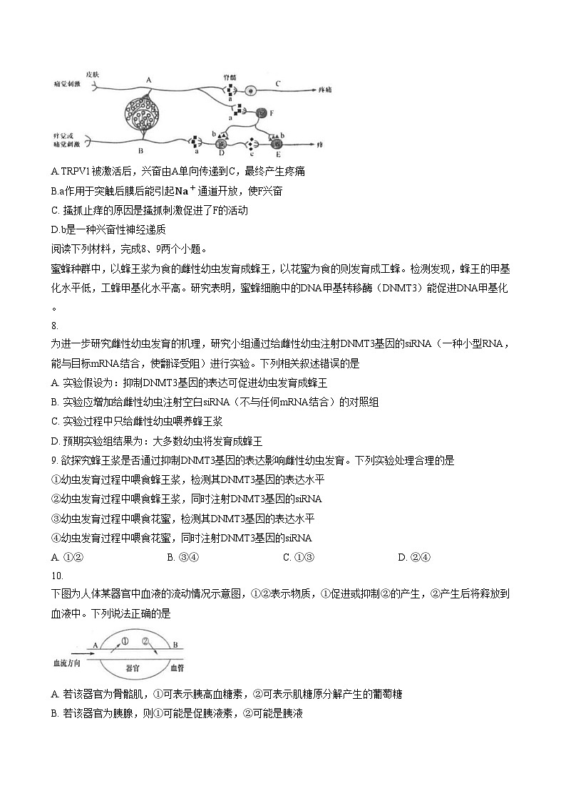 福建福州一中2025_2026学年第一学期第二学段期末考试高三生物学科试卷（文字版，含答案）第3页