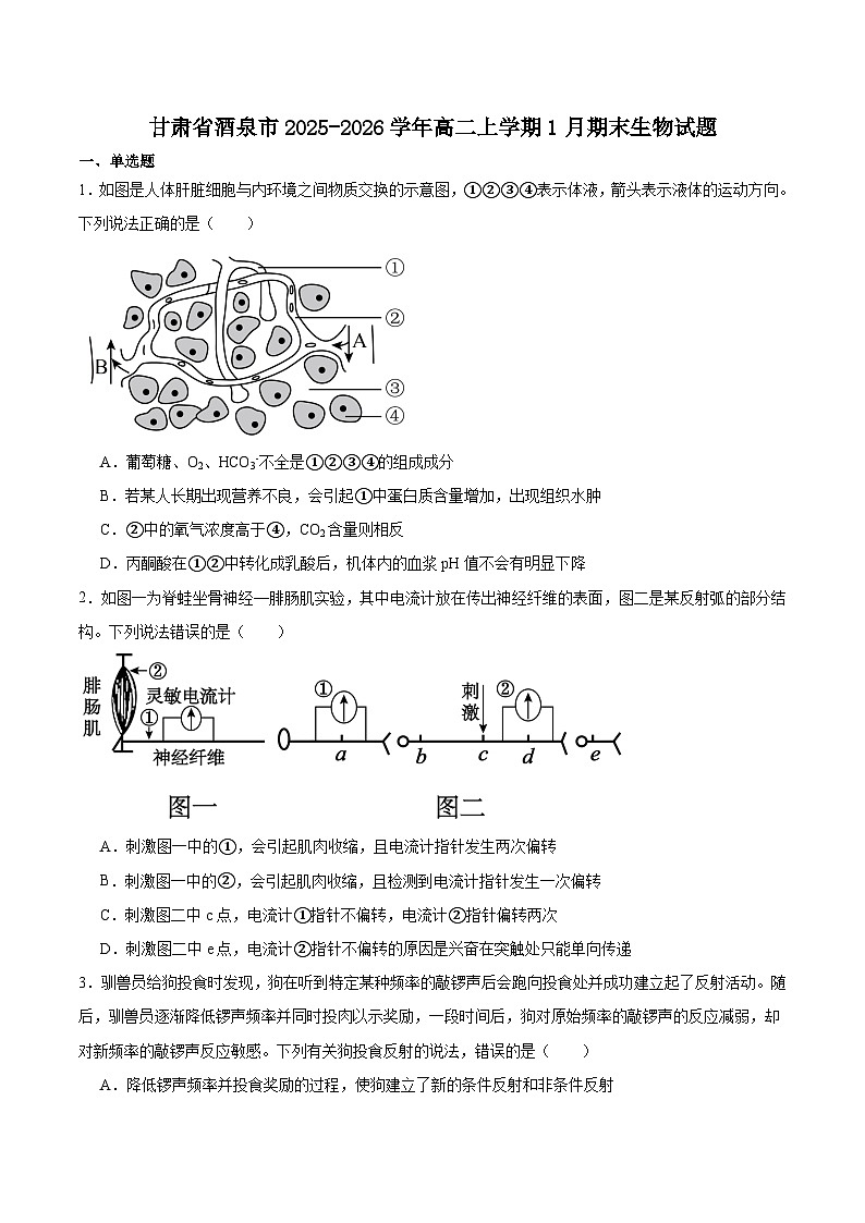 甘肃省酒泉市普通高中2025-2026学年高二上学期1月期末考试生物试卷（Word版附答案）第1页
