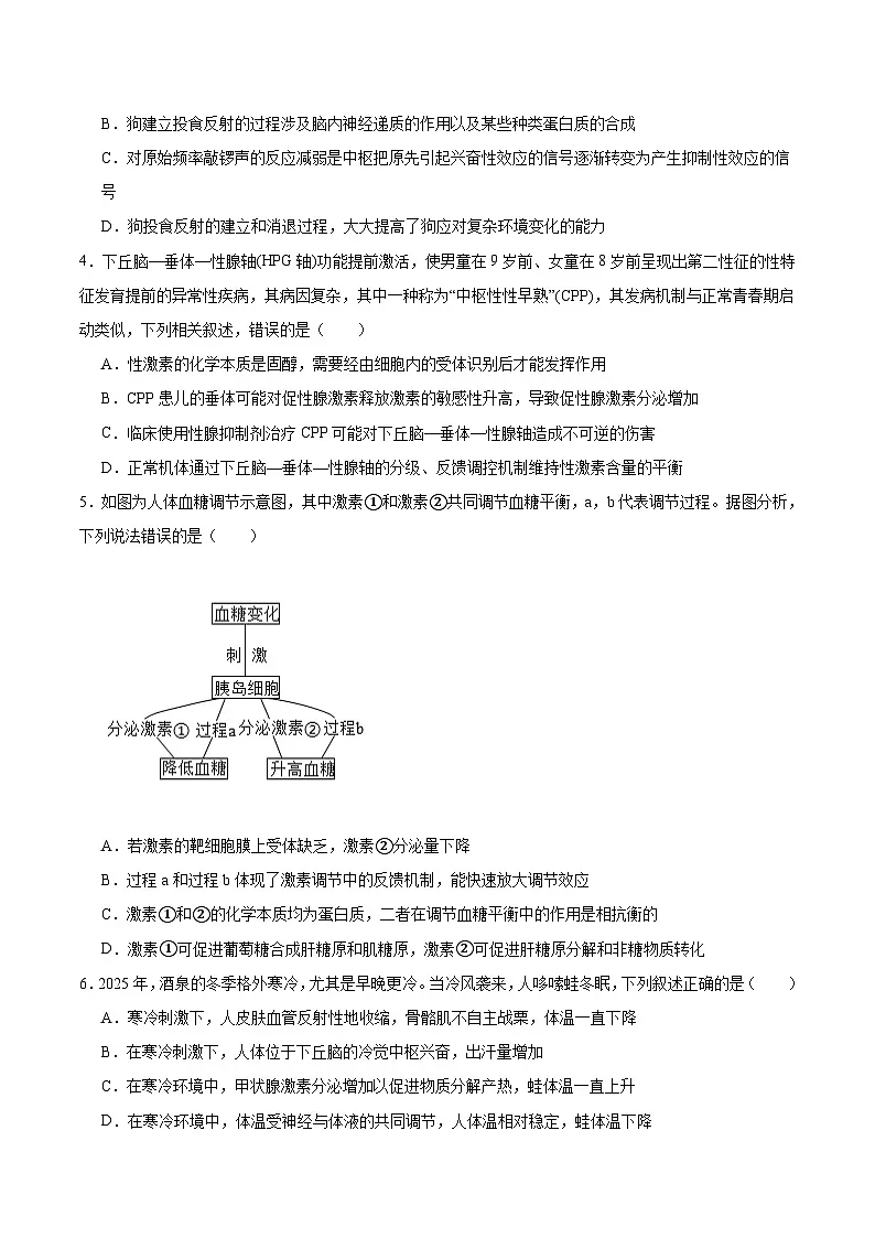 甘肃省酒泉市普通高中2025-2026学年高二上学期1月期末考试生物试卷（Word版附答案）第2页