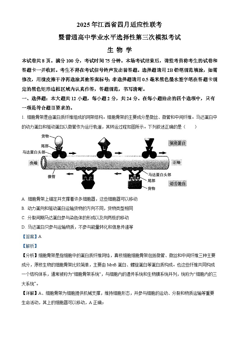 精品解析：2025届江西省高三下学期4月适应性统考生物学试卷（解析版）第1页