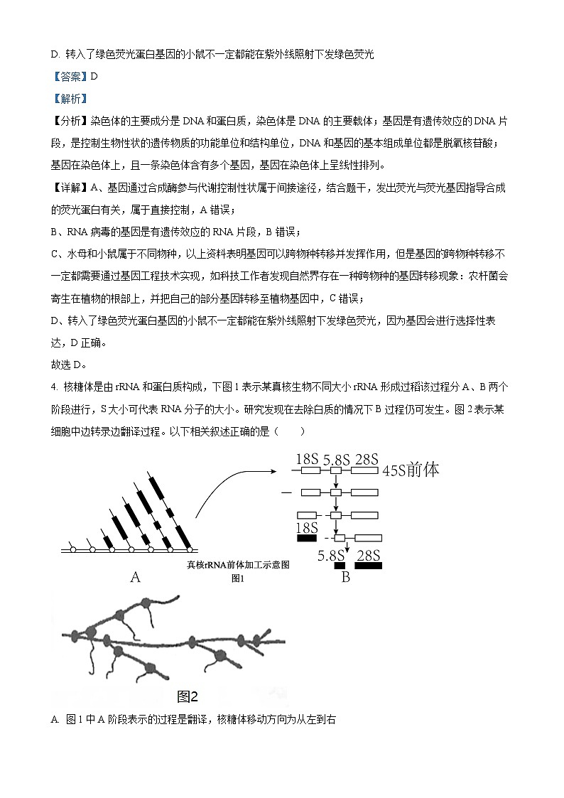 精品解析：2025届江西省高三下学期4月适应性统考生物学试卷（解析版）第3页