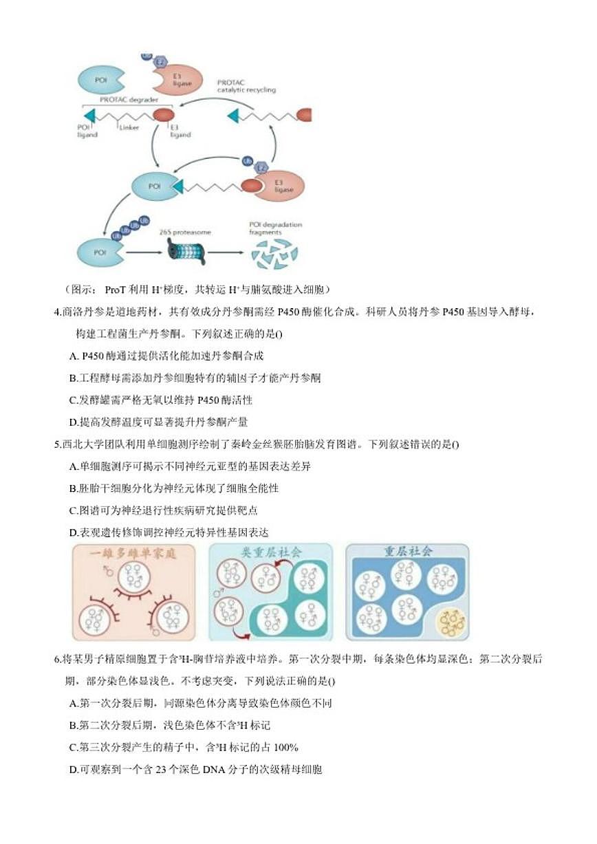 陕西省安康市2026年高三上第一次模拟预测生物试题（含答案）第2页