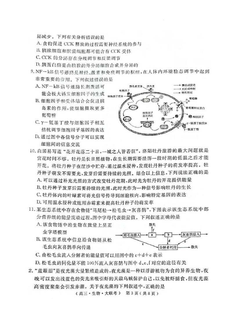 河南省H20高中联盟2024-2025学年高三下学期4月联考生物试卷第3页