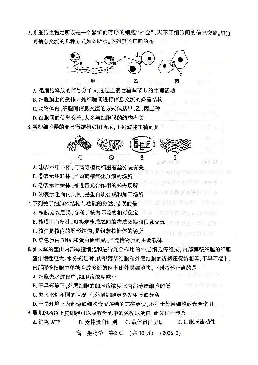 河南省洛阳市2025-2026学年高一上学期期末考试生物试题(含答案)第2页