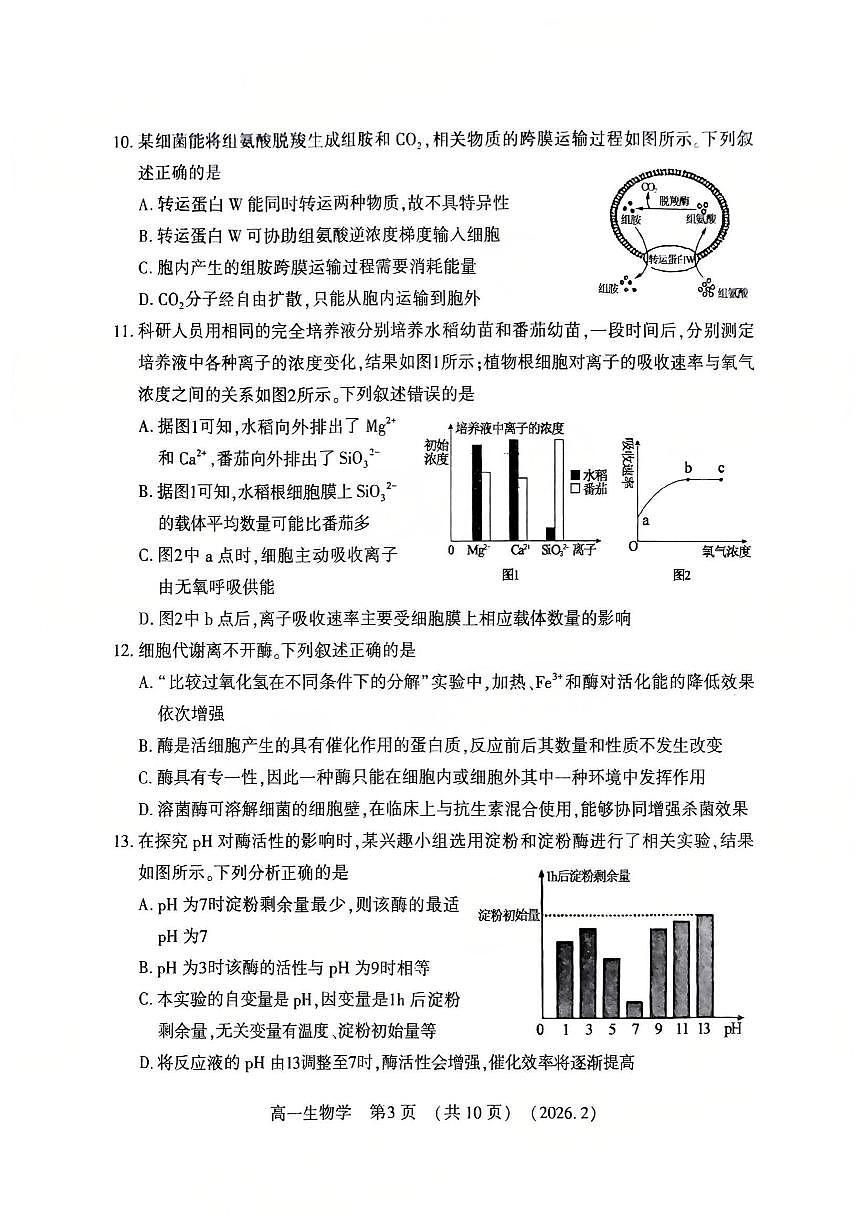 河南省洛阳市2025-2026学年高一上学期期末考试生物试题(含答案)第3页