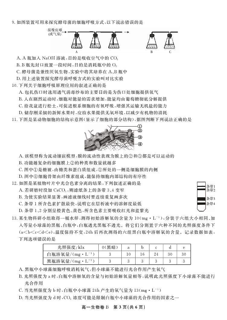 生物试题卷(B卷版)第3页