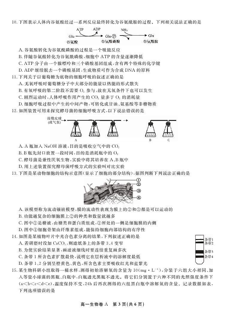 生物-安徽省皖江名校联盟2025-2026学年上学期高一期末试卷及答案第3页