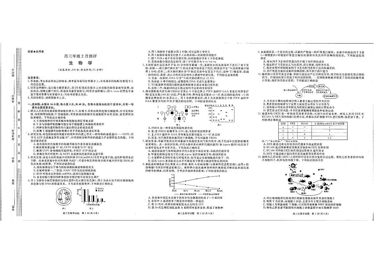 生物-河南省新未来2026届高三年级上学期2月期末测评试卷及答案第1页
