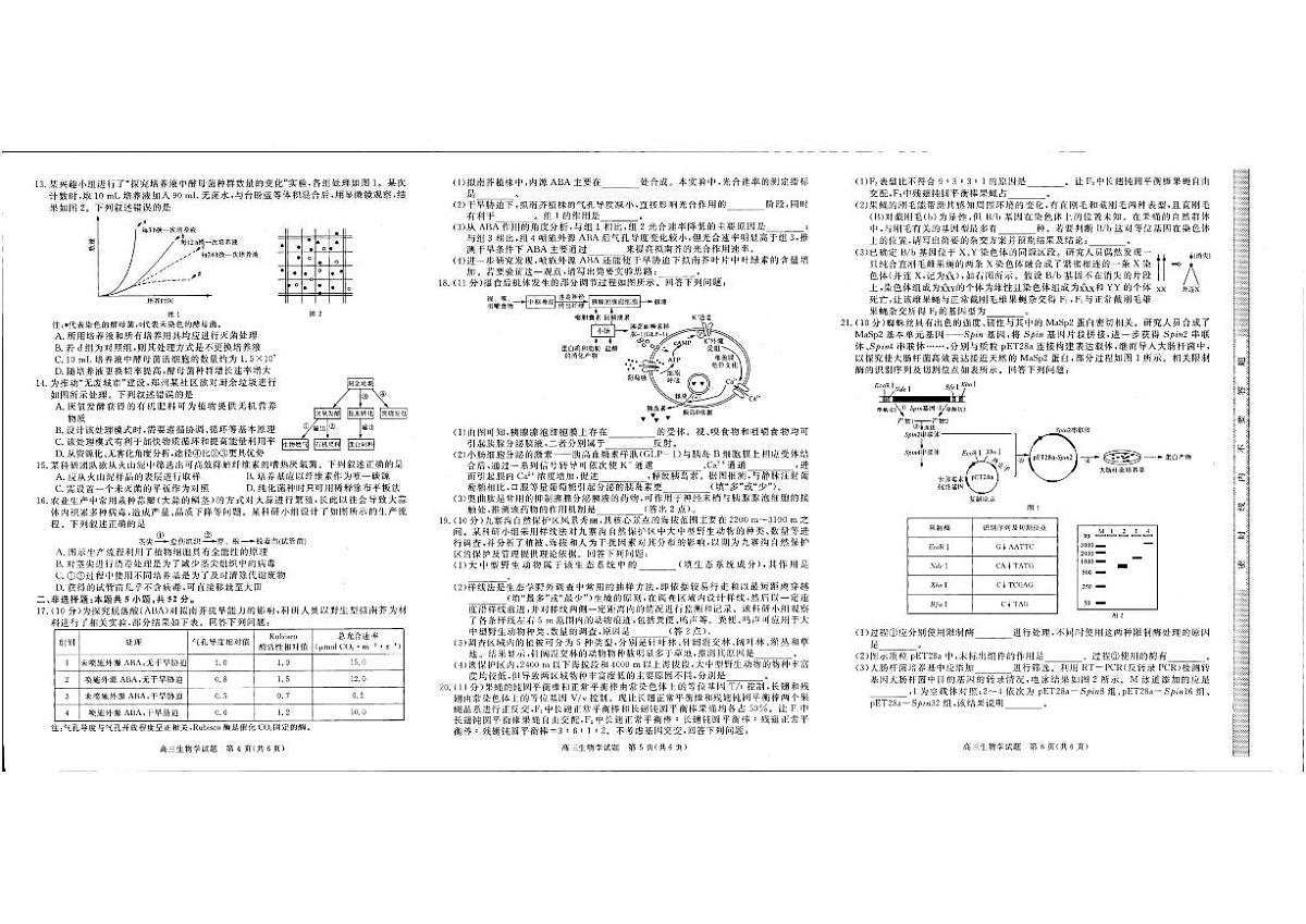生物-河南省新未来2026届高三年级上学期2月期末测评试卷及答案第2页