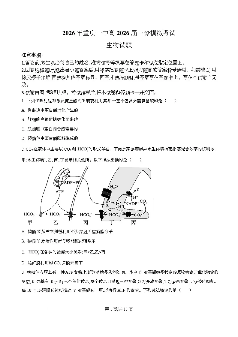 2026届重庆市重庆市沙坪坝区重庆市第一中学校高三一模生物试题 Word版无答案第1页