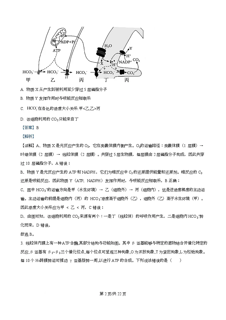 2026届重庆市重庆市沙坪坝区重庆市第一中学校高三一模生物试题 Word版含解析第2页