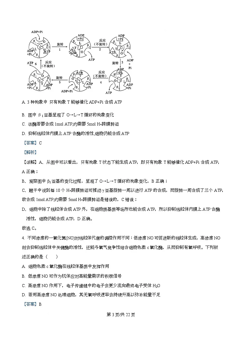 2026届重庆市重庆市沙坪坝区重庆市第一中学校高三一模生物试题 Word版含解析第3页