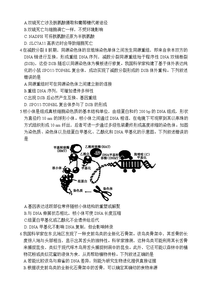 山东省德州市十校联考2024-2025学年高三下学期4月模拟生物试题第2页