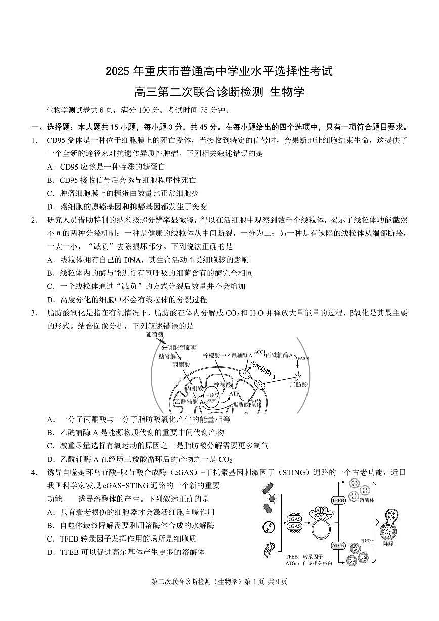 重庆市2025年高三年级下学期普通高等学校招生全国统一考试（康德二诊）生物试卷（无答案）第1页