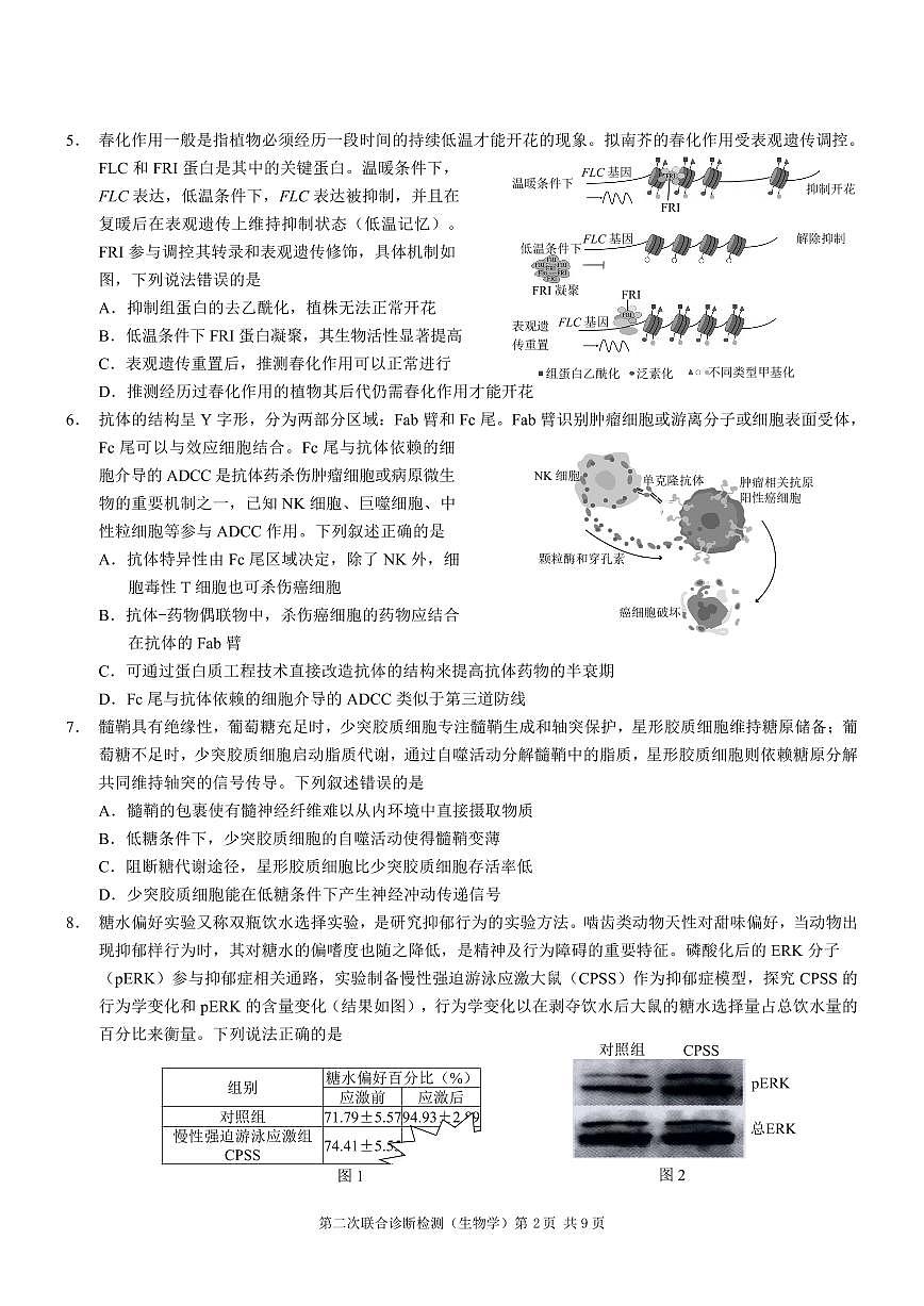 重庆市2025年高三年级下学期普通高等学校招生全国统一考试（康德二诊）生物试卷（无答案）第2页