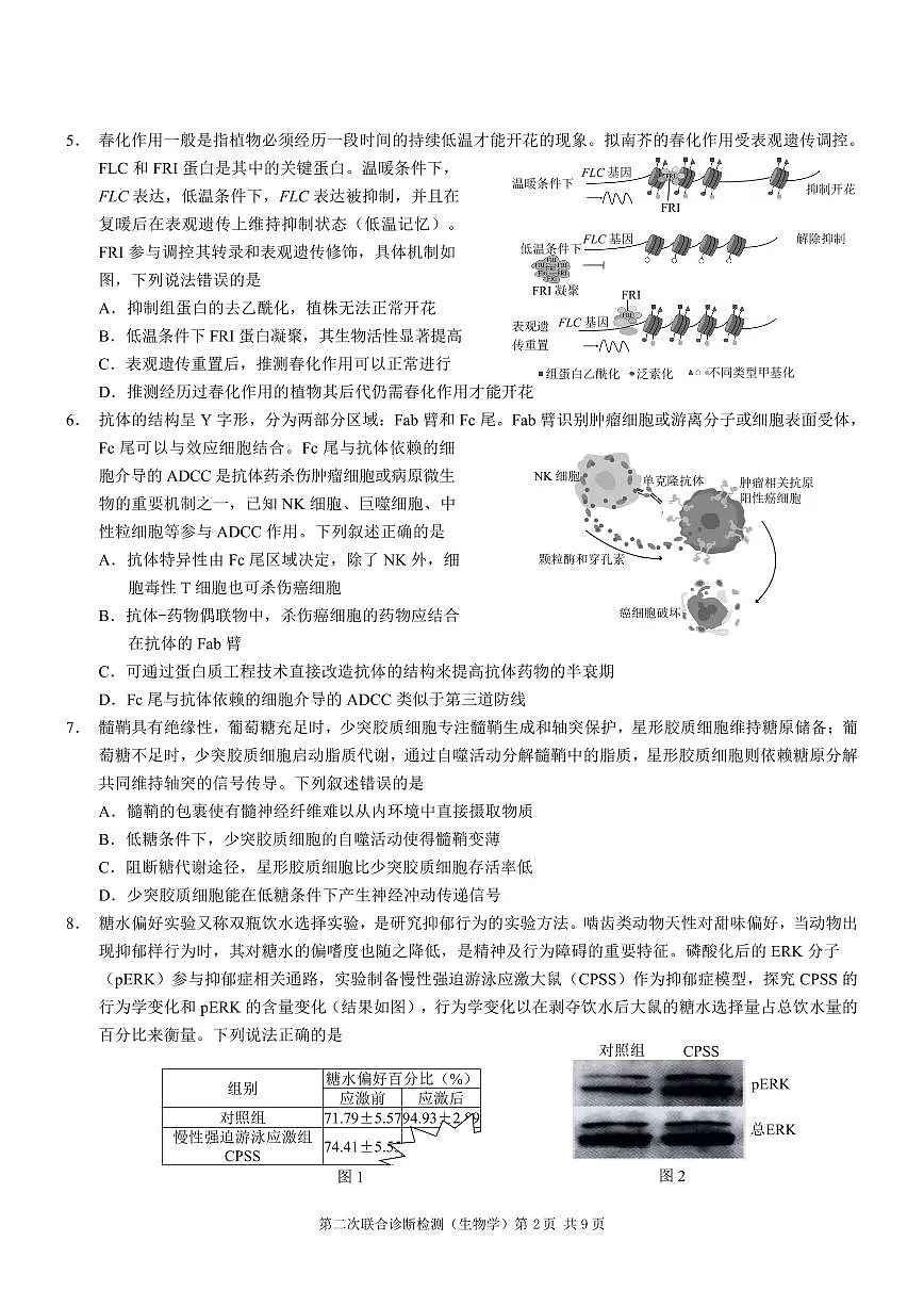 重庆市2025年高三年级下学期普通高等学校招生全国统一考试（康德二诊）生物试卷（无答案）第2页