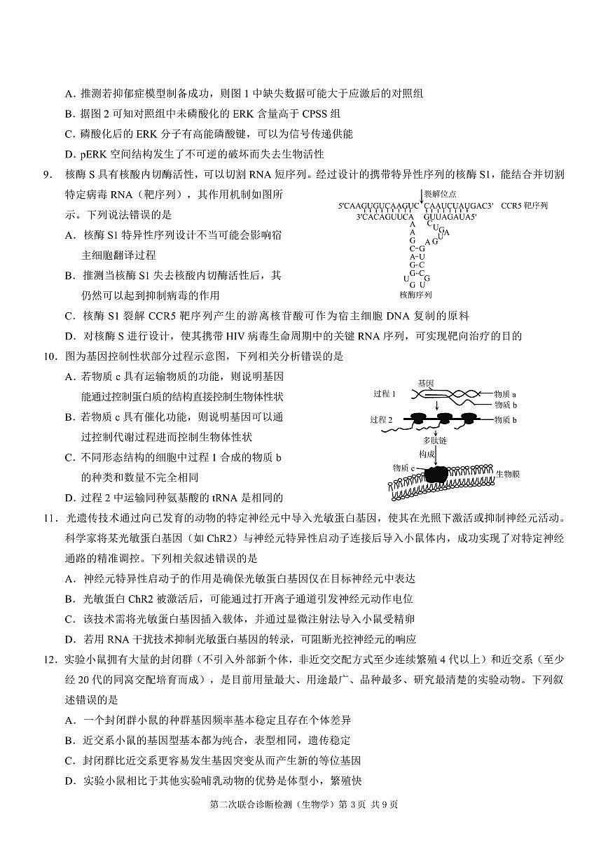 重庆市2025年高三年级下学期普通高等学校招生全国统一考试（康德二诊）生物试卷（无答案）第3页
