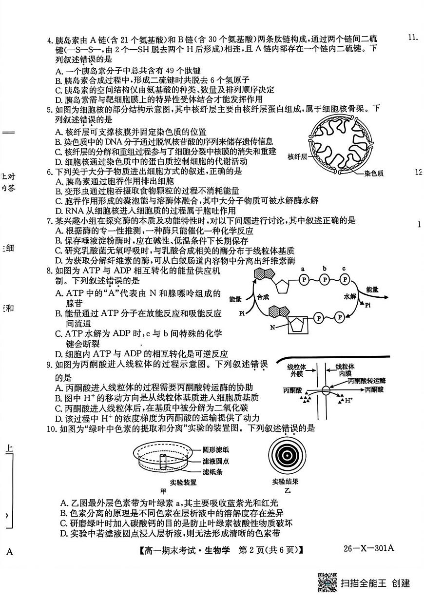 生物试题第2页