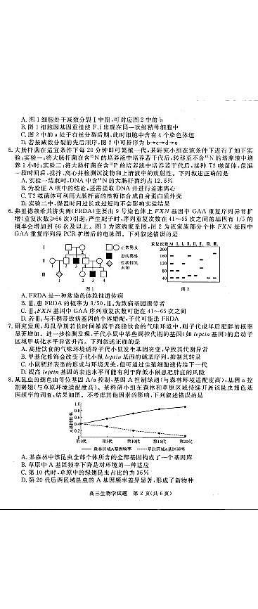 河南省名校联考2025-2026学年上学期期末高三生物试卷及答案第2页