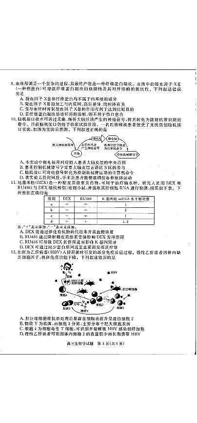 河南省名校联考2025-2026学年上学期期末高三生物试卷及答案第3页