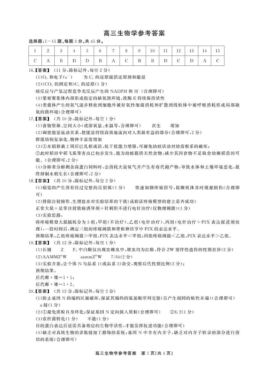 安徽省鼎尖联考2025-2026学年高三上学期期末过程性学科素质评价 生物答案第1页