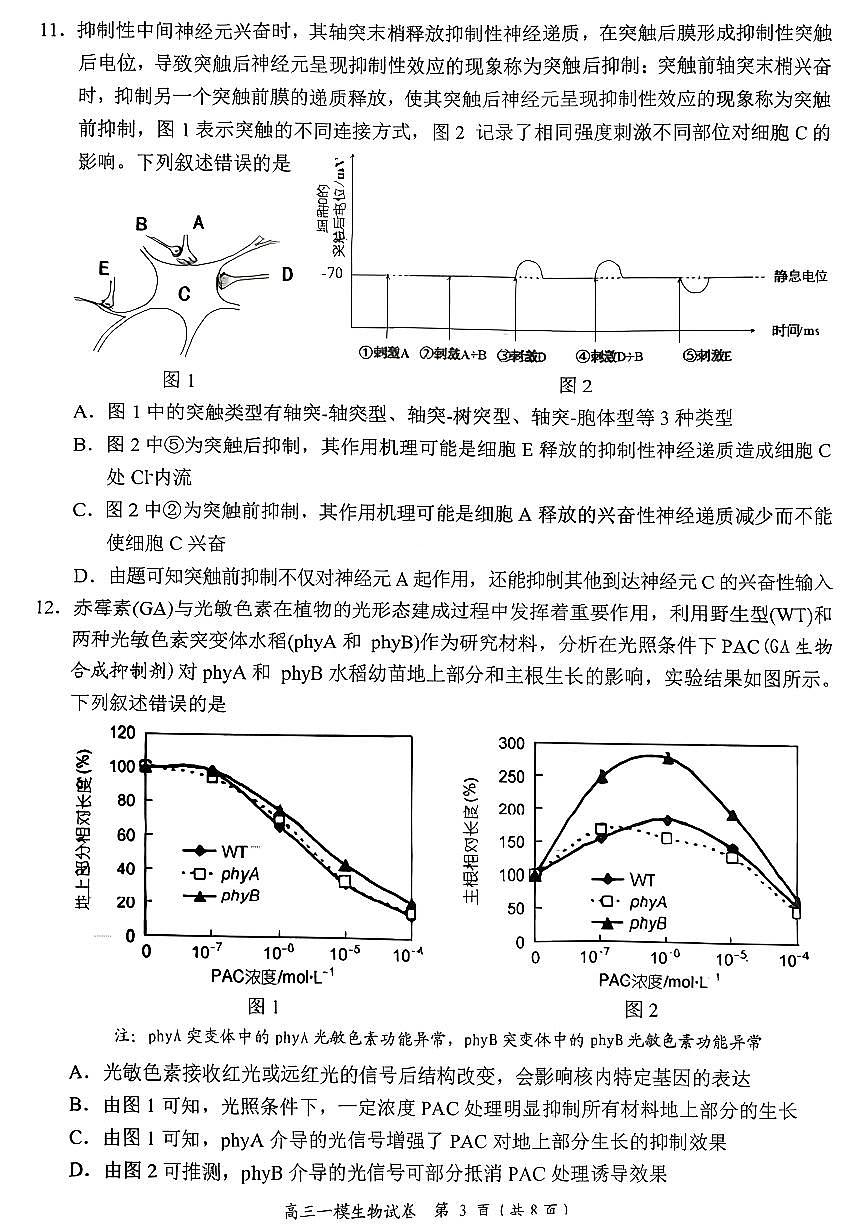 岳阳市2026届高三年级教学质量监测（一）生物第3页