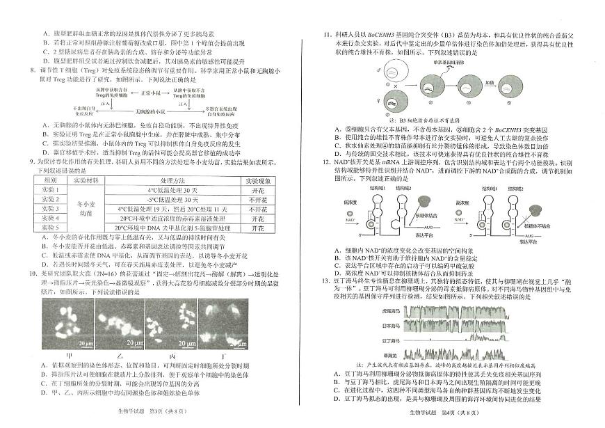 2026届合肥市高三第一次教学质量检测生物试题第2页