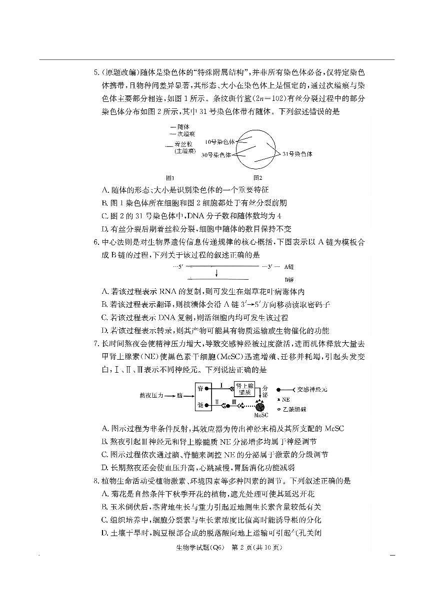 湖南省长沙市第一中学2025-2026学年高三上学期2月期末考试生物试卷（PDF版附解析）第2页