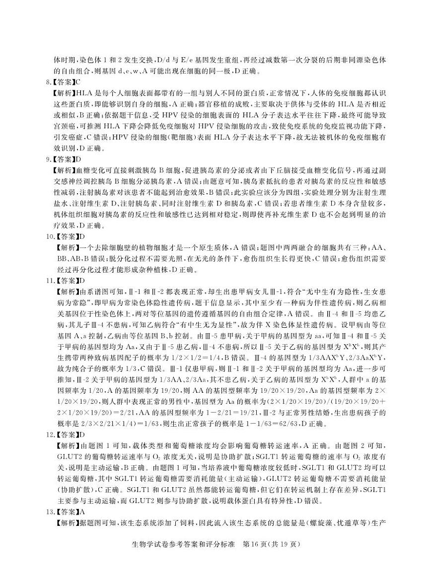 2025年湖北省新高考信息卷（四）生物答案第2页