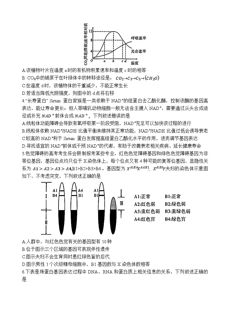 2025届安徽省江淮十校高三下学期4月第三次联考生物试题第2页