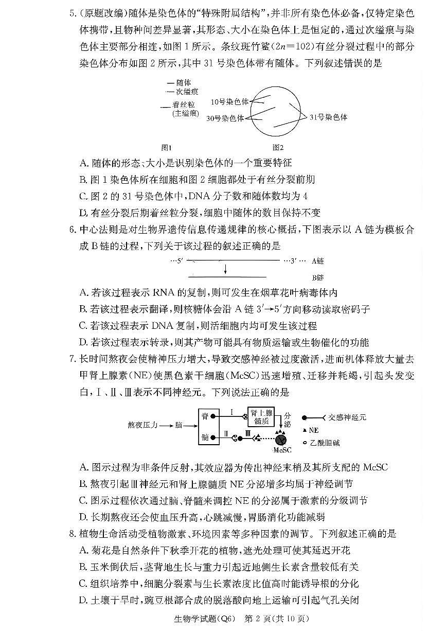 湖南省长沙市第一中学2025-2026学年高三上学期2月期末考试生物试题及答案第2页