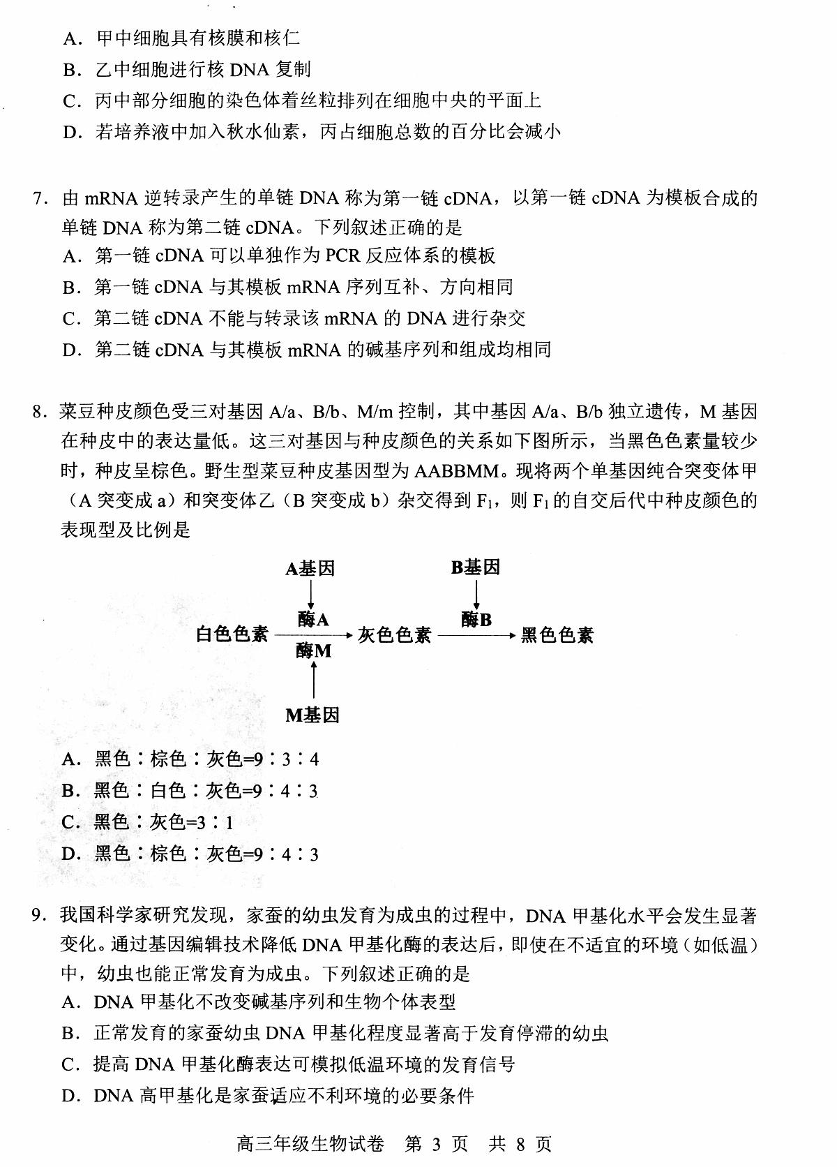 湖北省武昌区2025届高三年级5月质量检测生物第3页